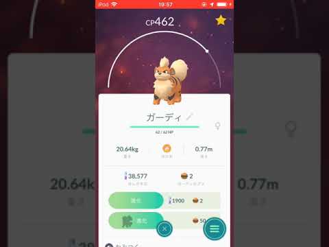ポケモンGO ガーディ Evolution