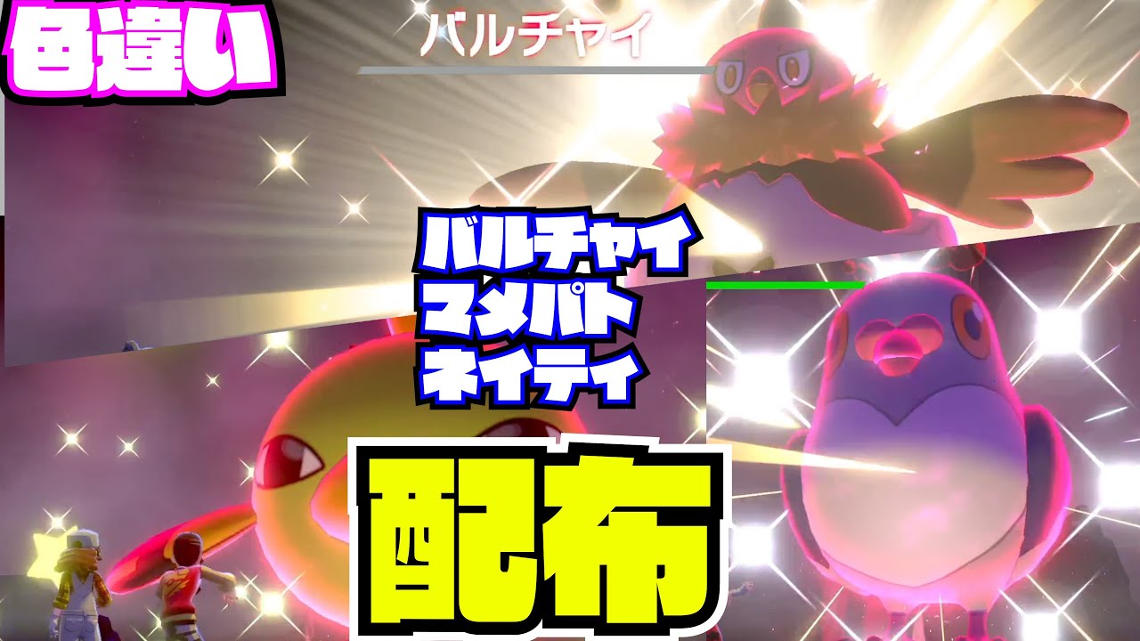 22：00～1時間【ポケモン剣盾】色違い!マメパト　ネイティ　バルチャイ！！配布 nintendo switch【 27ch 】