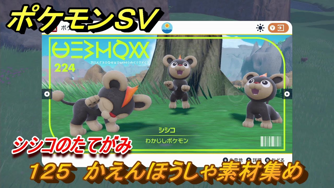 ポケモンＳＶ　わざマシン１２５　かえんほうしゃ素材集め　シシコのたてがみの入手方法は？　【スカーレット・バイオレット】