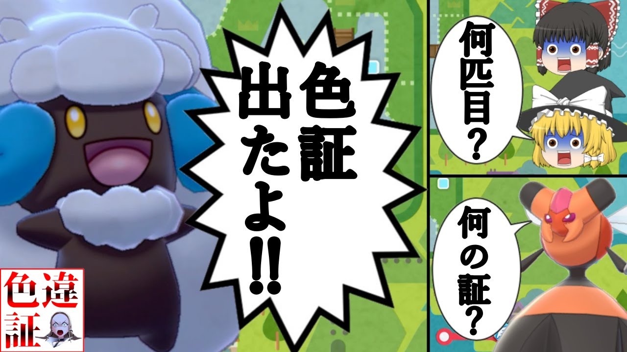 【ポケモン剣盾】色証エルフーンが欲しい！【ゆっくり実況】【エルフーン】