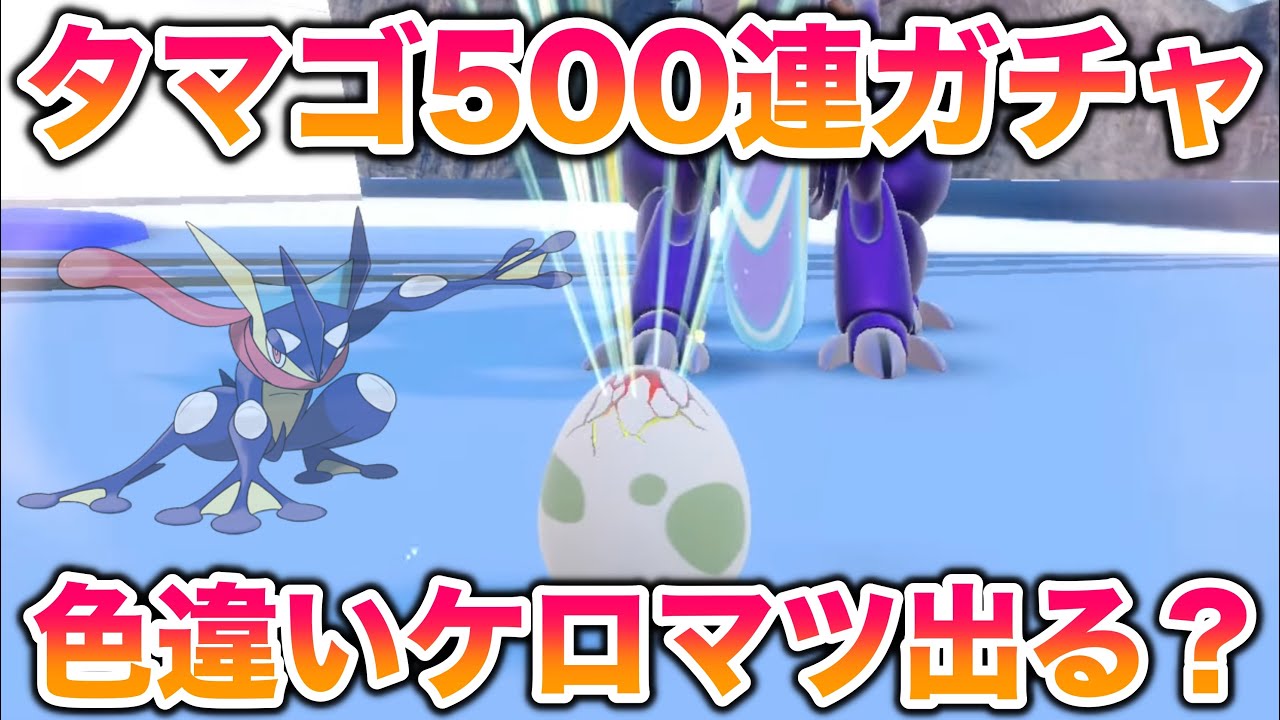 【3周目】タマゴ500連ガチャで色違い御三家「ケロマツ(ゲッコウガ)」はゲットできるか？【ポケモンSV/スカバイ】
