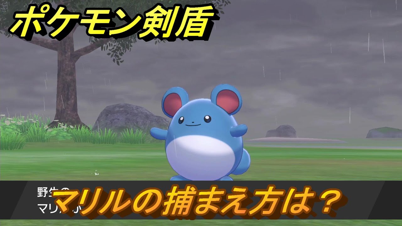 ポケモン剣盾　マリルを捕まえる方法！オススメの場所は？天気は？ポケモン図鑑コンプへの道！　最新版【ポケモンソード・シールド】