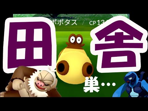 【ポケモンGO】田舎のヒポポタスの巣の現実！6時間で〇匹！ケッキングの特別な技？と次の狙い目〇〇ポケモン【6月コミュニティデイ】