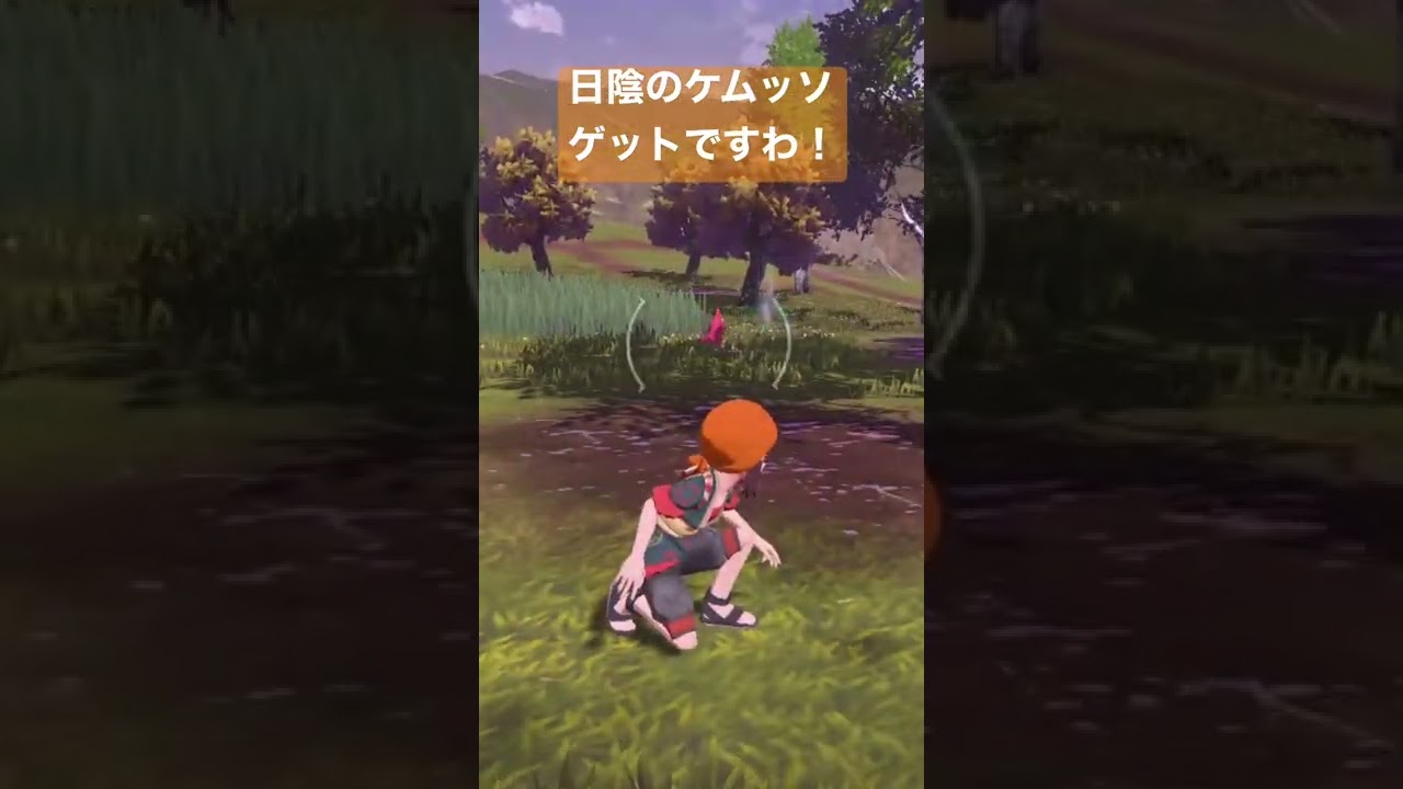 【ポケレジェ】日陰のケムッソゲットですわ【メイプル楓】