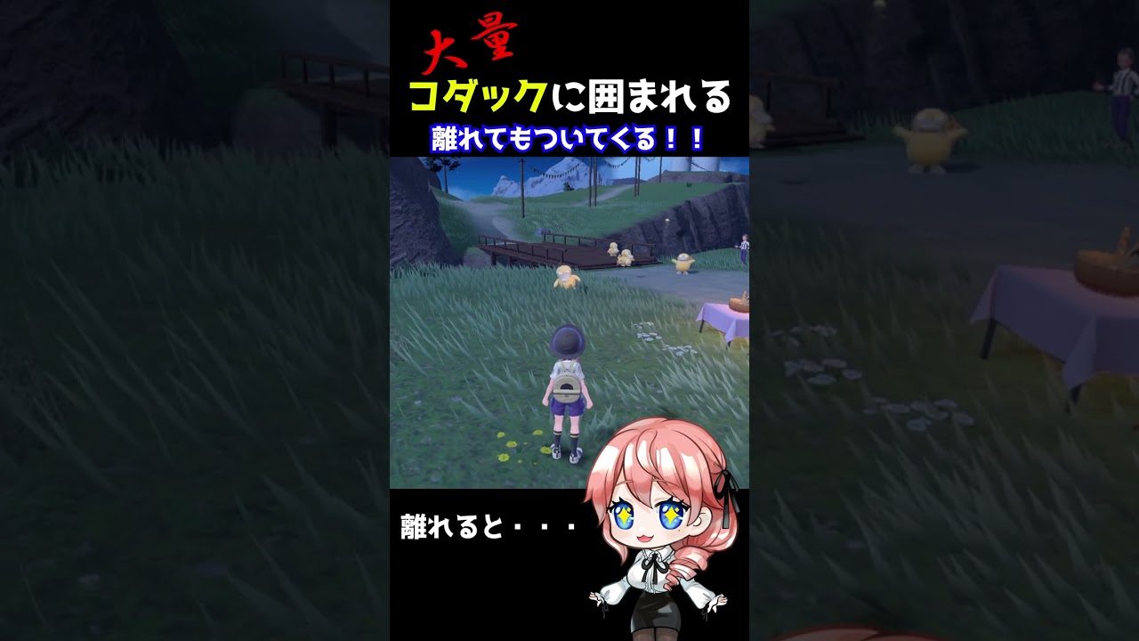 【ポケモンSV】コダックが可愛すぎる！とことこついてくるコダックに癒される関西Vtuber【配信切り抜き】 #Shorts