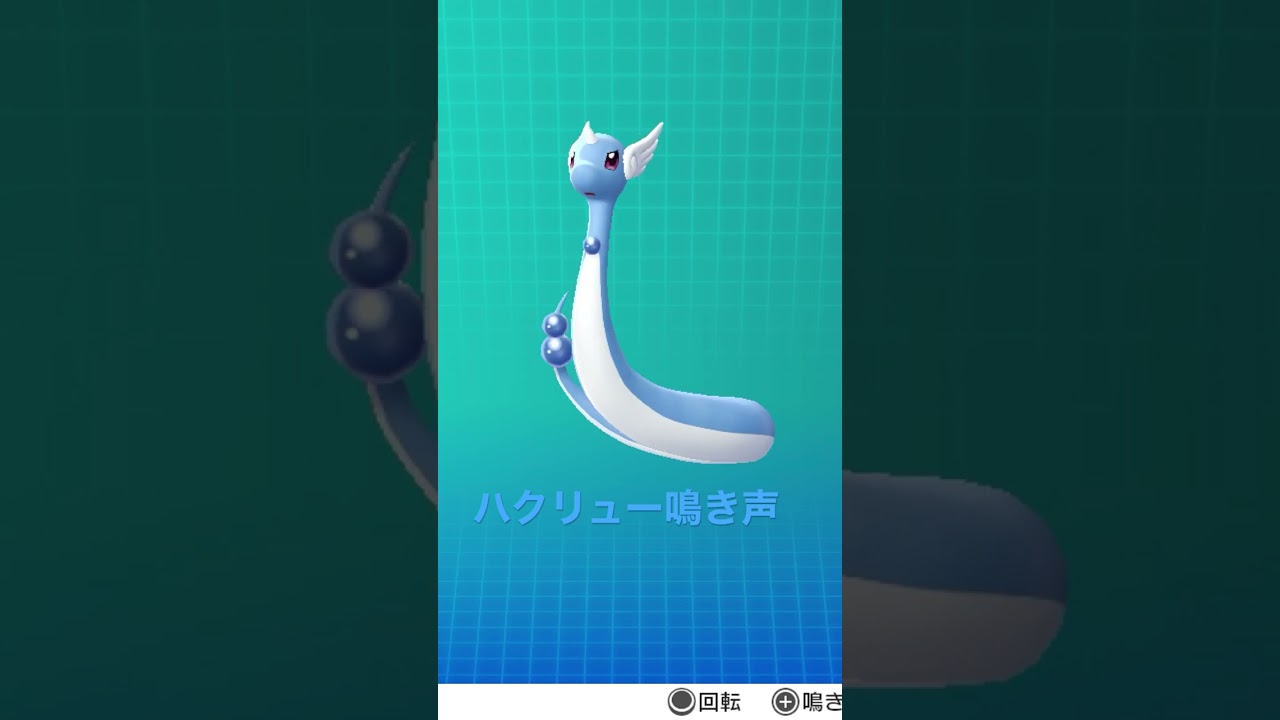 ピカブイ【図鑑NO148】ハクリュー鳴き声#ポケモン鳴き声 #図鑑コンプ #レッツゴーピカチュウ #レッツゴーイーブイ#ポケモン生態#ハクリュー動き#Dragonair