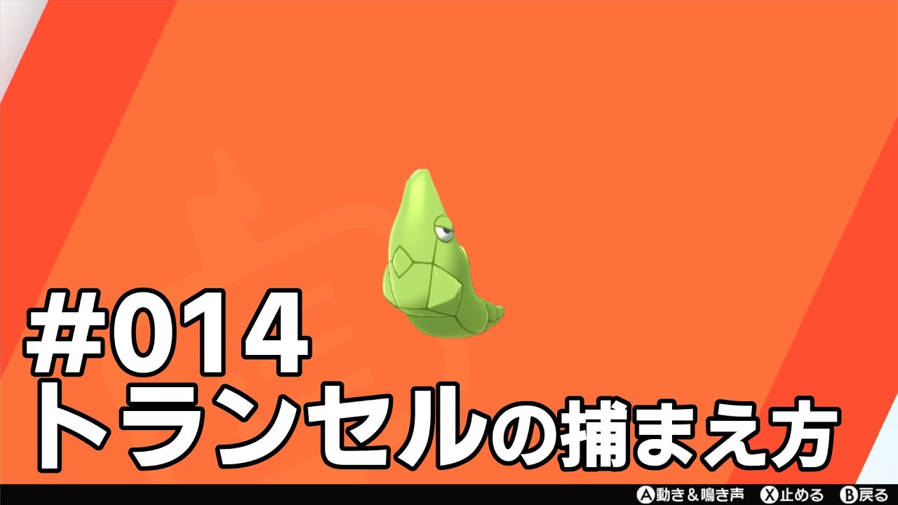 トランセルを探している方に見てほしい動画