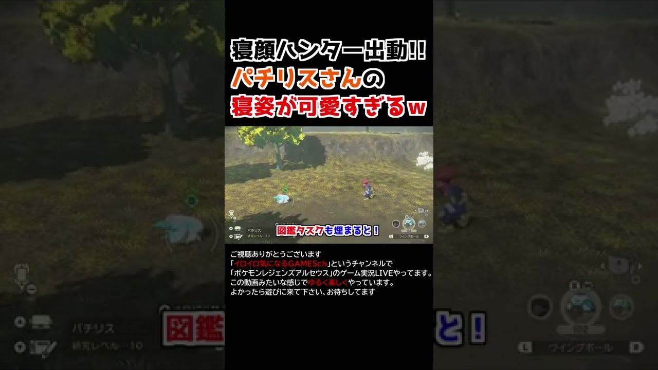 パチリスさんの「寝姿」が可愛すぎるww【Pokémon LEGENDS アルセウス】【寝顔ハンター】