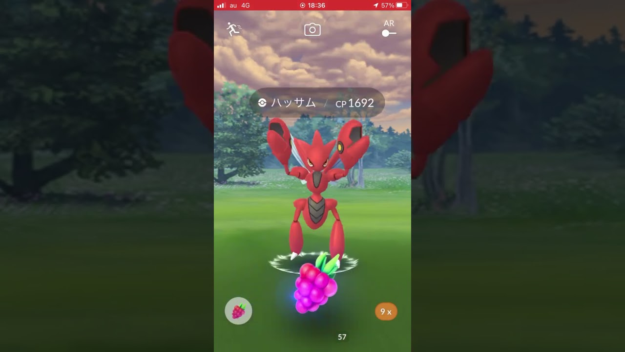 【2人討伐】メガハッサム【ポケモンGO】