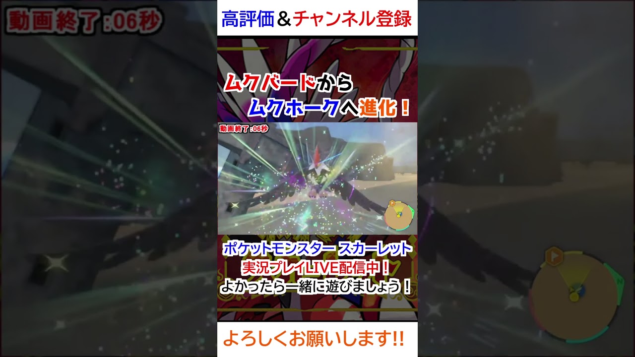 ムクホーク→ムクバード進化【ポケモンSV】