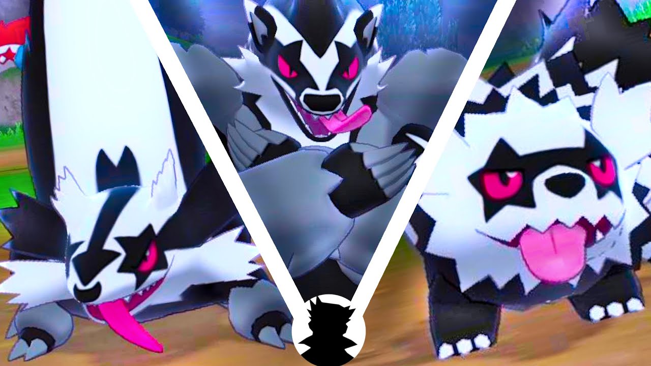 【ポケモンキャンプリサーチ】タチフサグマ・マッスグマ・ジグザグマ（ガラルのすがた）進化系とかわいい色違い