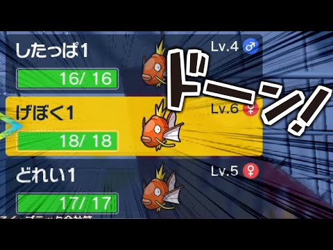 『コイキング』３匹で、スター団を滅ぼす【ポケモンSV】