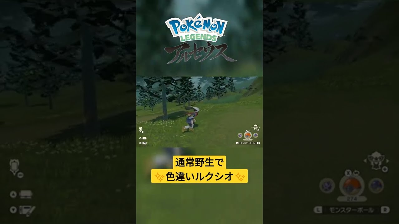 【色違い】Pokémon LEGENDS アルセウス『ルクシオ』通常野生にて色違い✨ #shorts