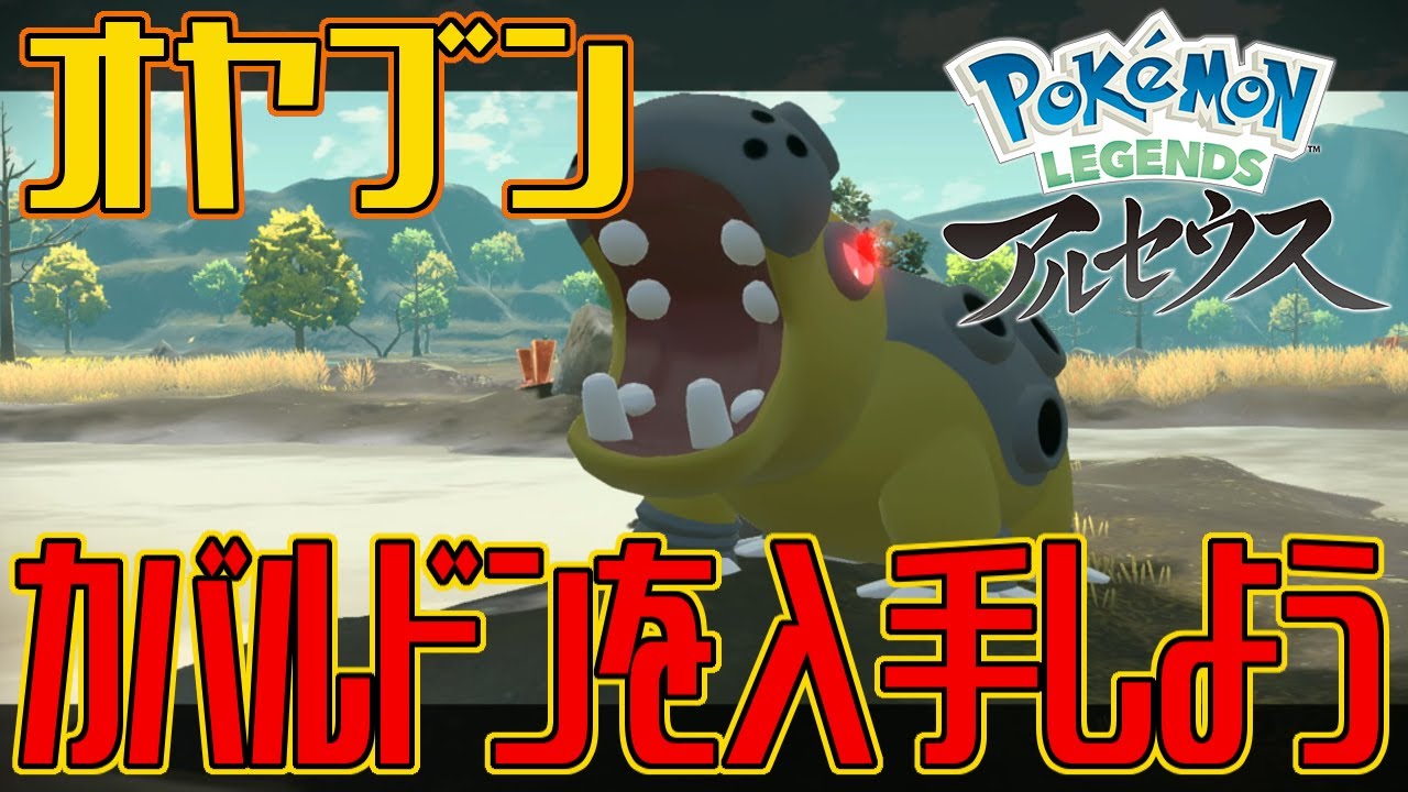 【ポケモンアルセウス】オヤブンのカバルドンを入手しよう【Pokémon LEGENDS アルセウス】