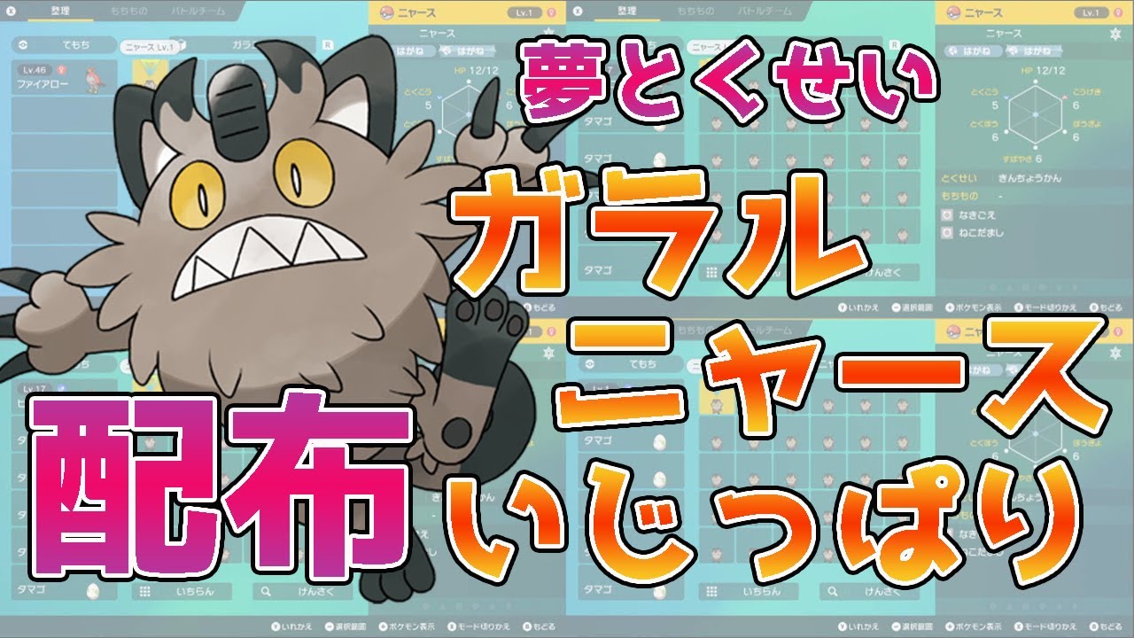 【ポケモン配布】夢とくせいガラルニャースを四画面で配布！レイド必須級！星6レイドを抜く高火力！！240体配布していきます！！【ポケモンSV/スカーレット/バイオレット/switch】