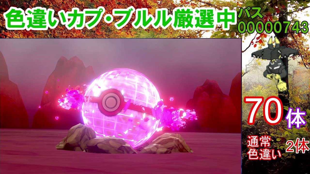 カプ・ブルル色違い以外の色違いが出たら即配布！新作までにブルルの色違い出したい配信【ダイマックスアドベンチャー】【ポケモン剣盾】