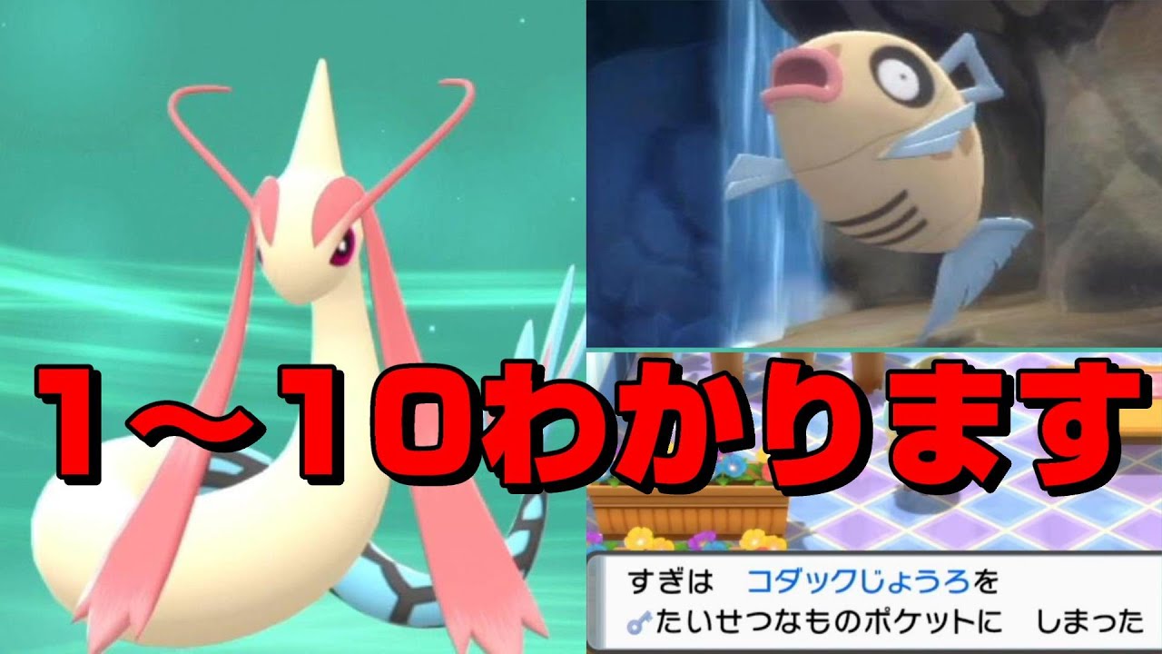 ミロカロス作り方全て教えます　【ダイパリメイク】