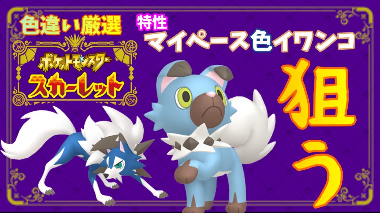 【ポケモンSV色違い厳選】色違いの黄昏ルガルガンが欲しい！【ポケットモンスターSV】