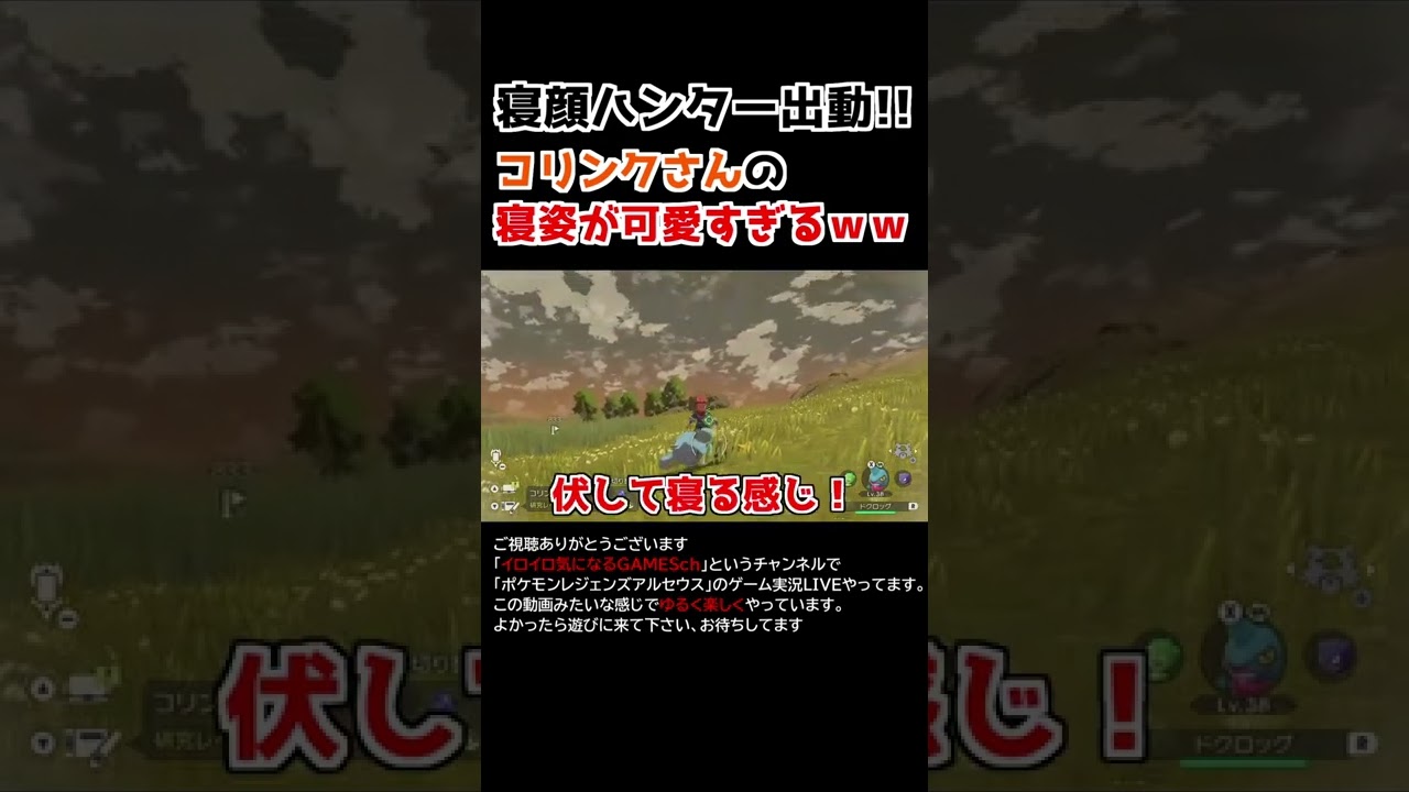 コリンクさんの「寝姿」が可愛すぎるww vol2【Pokémon LEGENDS アルセウス】【寝顔ハンター】