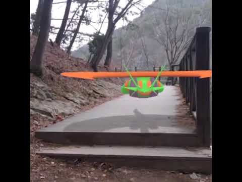 메가보만다 ( Mega Salamence ) メガボーマンダ ( 暴飛龍 )