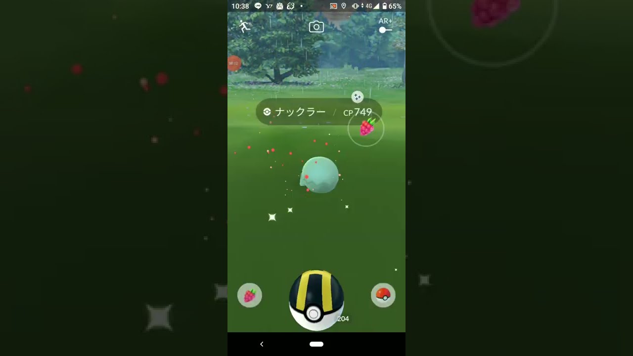 色違いナックラー　ポケモンＧＯ