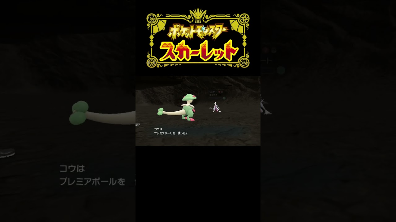 #shorts #ポケモンsv #スカーレット #色違いポケモン #ヤトウモリ #エンニュート