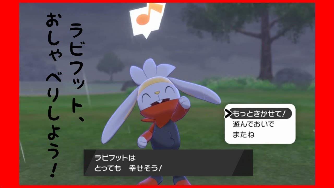 ラビフットとおしゃべり　Chat with Raboot