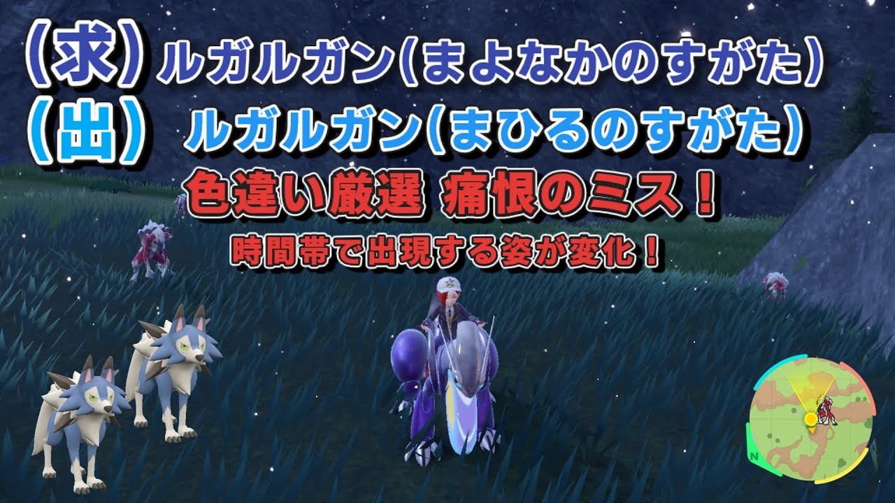 【ポケモンSV】大量発生でルガルガン色違い厳選！青色を求めて 1/2