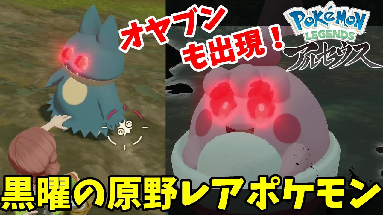 黒曜のレアポケモン！低確率でオヤブンも出現する場所【ポケモンレジェンズアルセウス】