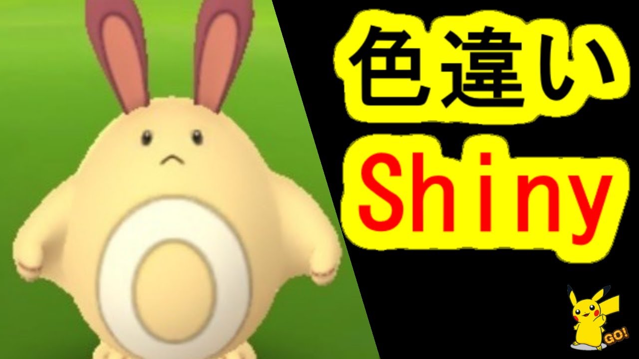 色違いオタチを初日入手