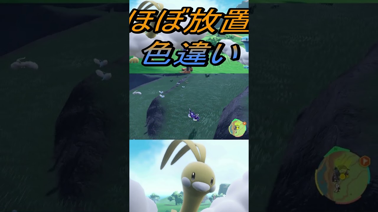 ほぼ放置色違い金色で綺麗なチルット、チルタリス入手【ポケットモンスタースカーレット・バイオレットSV】#shorts