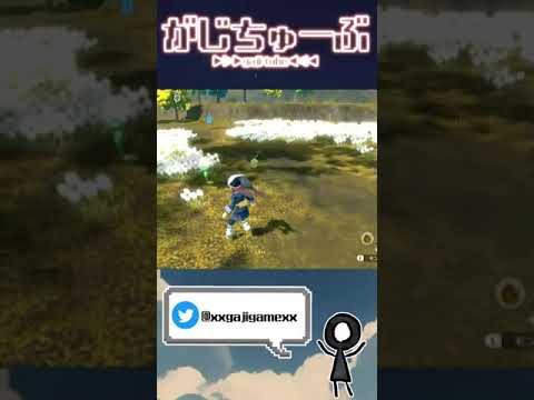 チュリネが可愛すぎて脳みそが溶けた時の様子 #Shorts