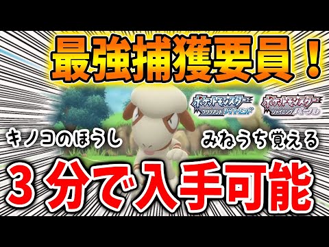 【ポケモン ダイパリメイク】3分でドーブルを入手可能！キノコのほうし、みねうち何でも覚える最強の捕獲要員【ブリリアントダイヤモンド・シャイニングパール／攻略/BDSP/メタモン/遺伝/厳選】