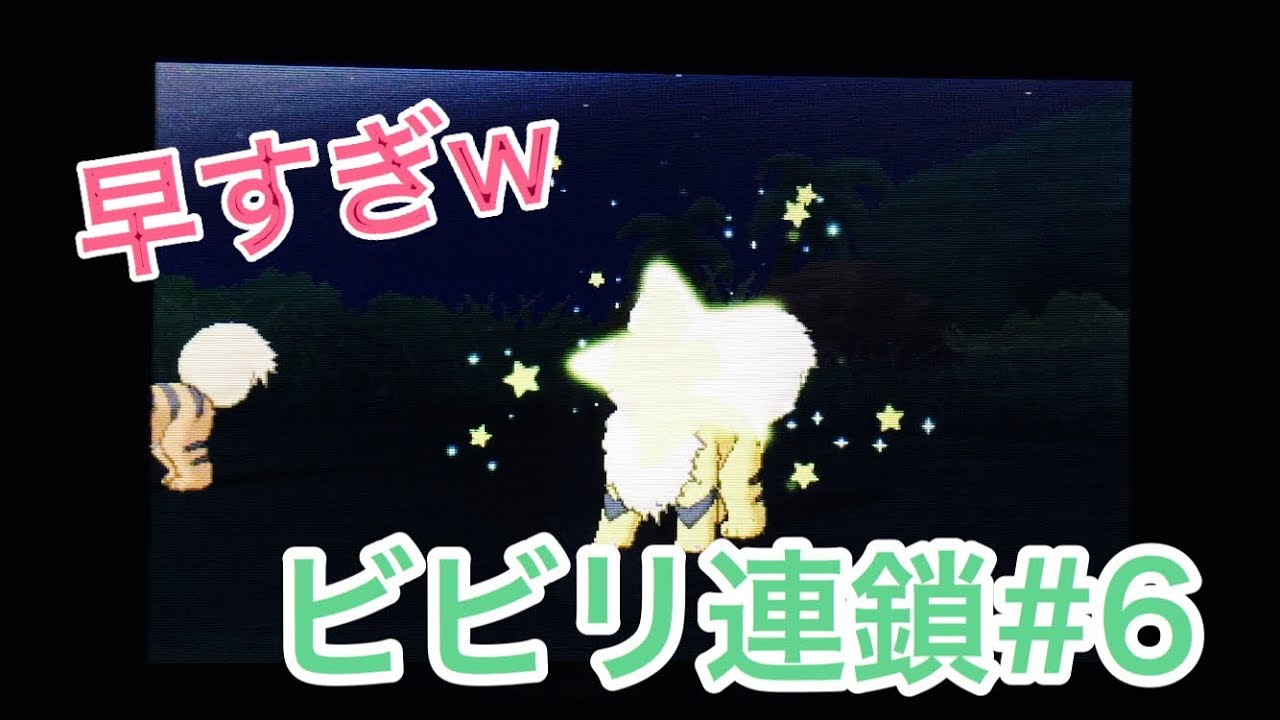 【ポケモン サンムーン】連鎖で色違いガーディGET！(ビビリ連鎖#6)