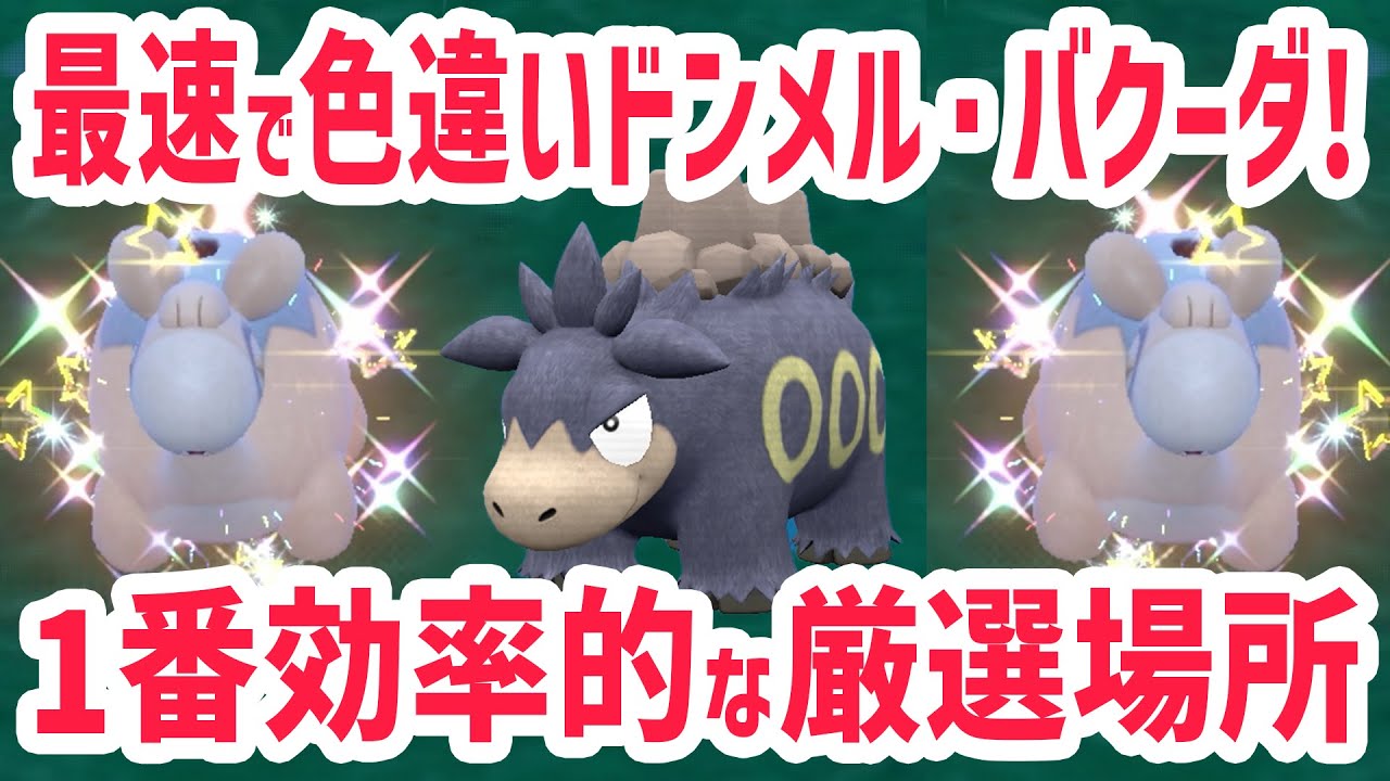 【最速】1番簡単にドンメル・バクーダの色違いを厳選する方法！【 ポケモンsv 色違い 】