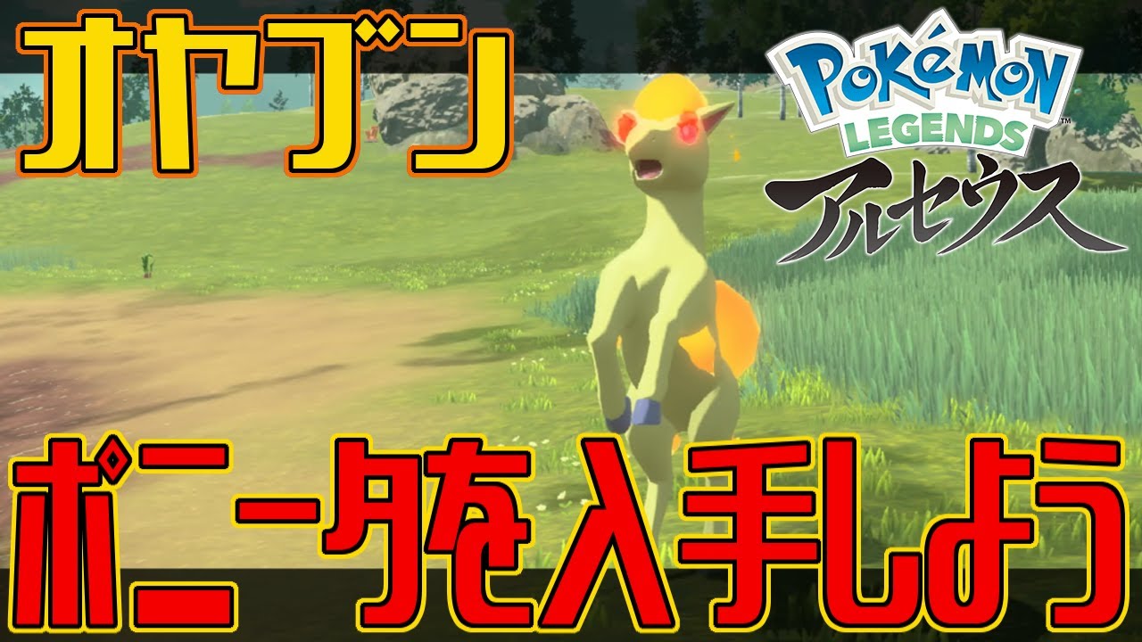 【ポケモンアルセウス】オヤブンのポニータを入手しよう【Pokémon LEGENDS アルセウス】