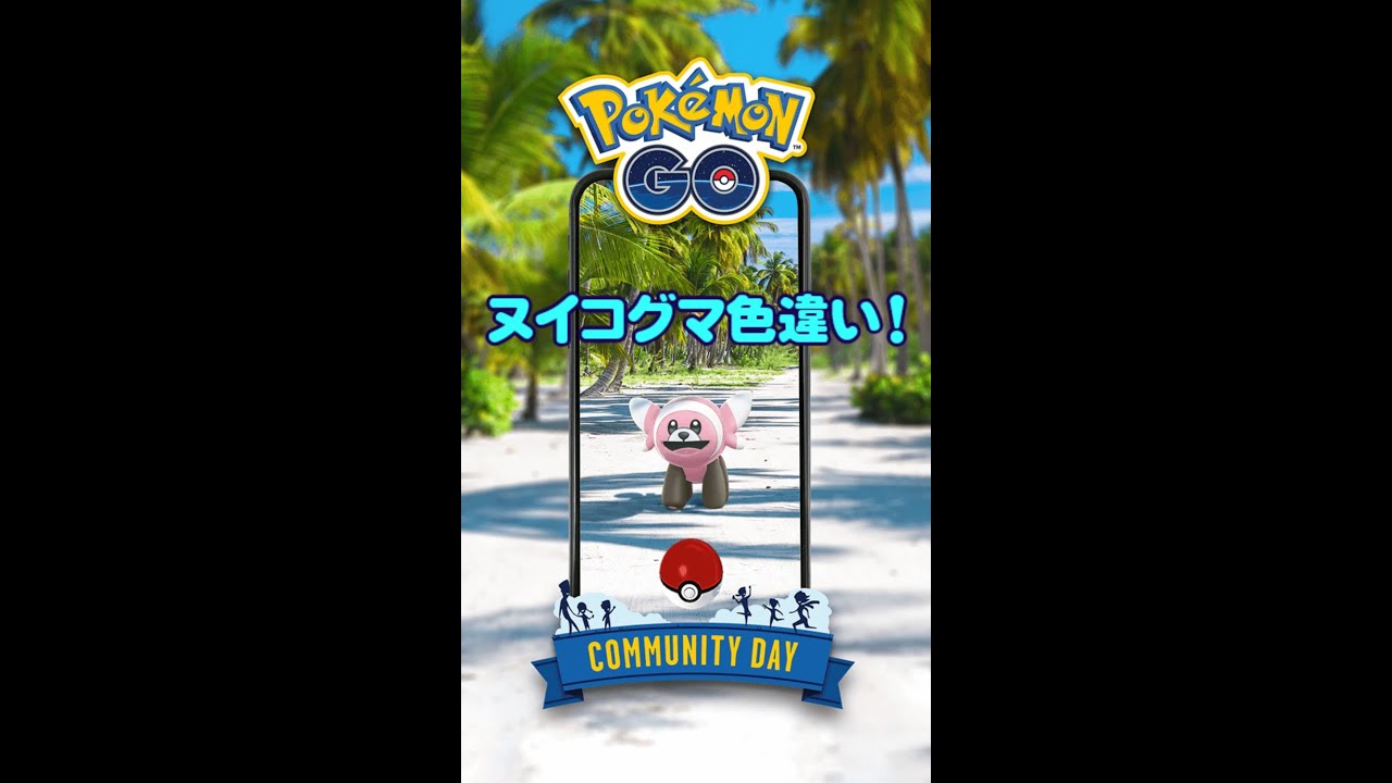 【ポケモンGO】色違いきたー！ヌイコグマのコミュニティディ！ #shorts #ポケモンGO #pokemongo