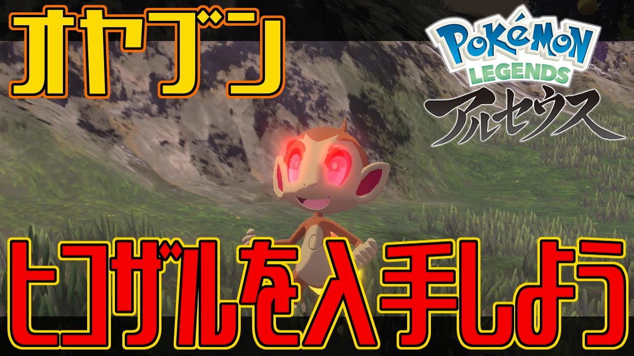 【ポケモンアルセウス】オヤブンのヒコザルを入手しよう【Pokémon LEGENDS アルセウス】