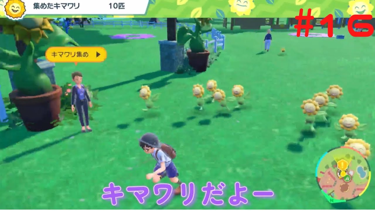 キマワリ好きになってきたかも・・・【ポケモンバイオレット】♯16