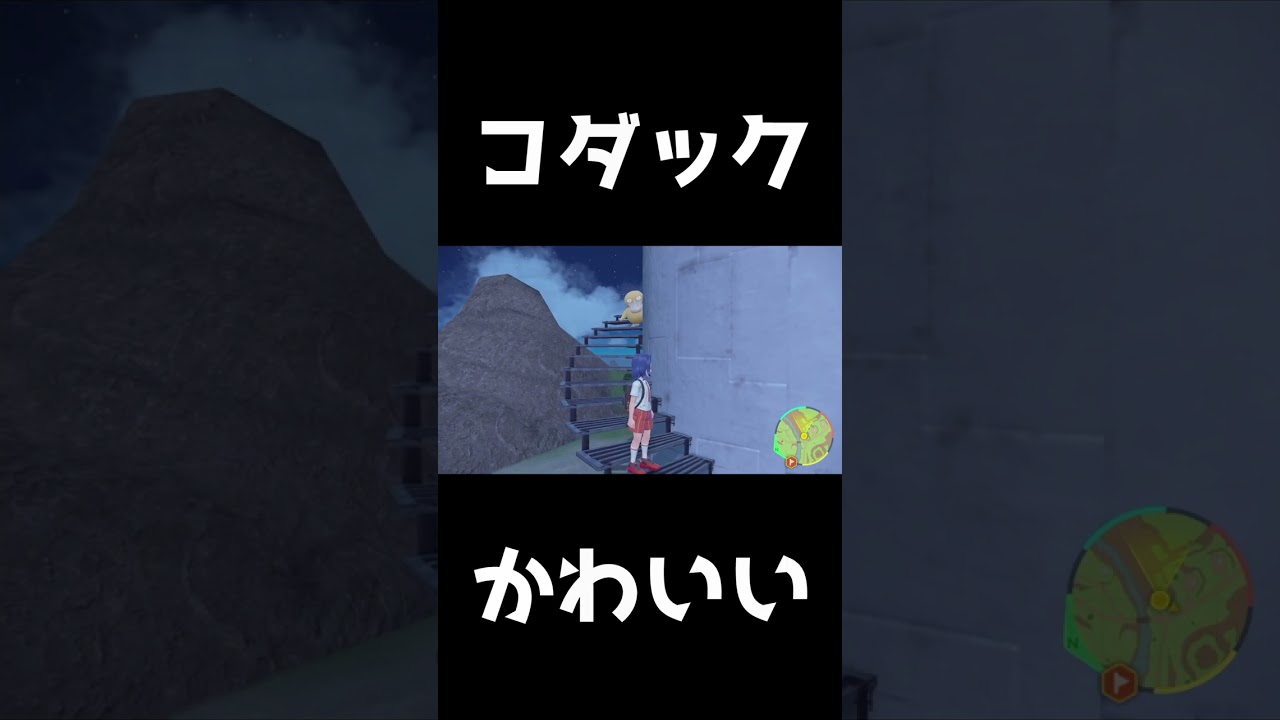 コダックにビビる