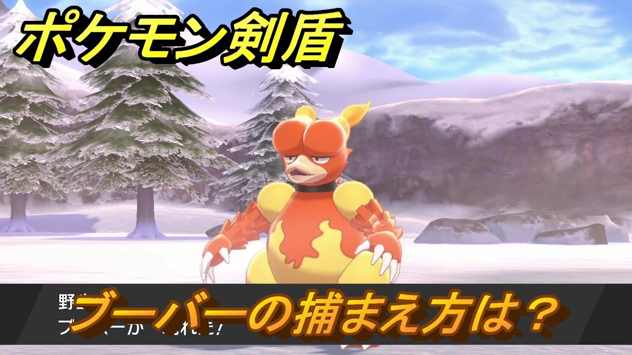 ポケモン剣盾　ブーバーを捕まえる方法！オススメの場所は？天気は？ポケモン図鑑コンプへの道！　最新版【ポケモンソード・シールド】