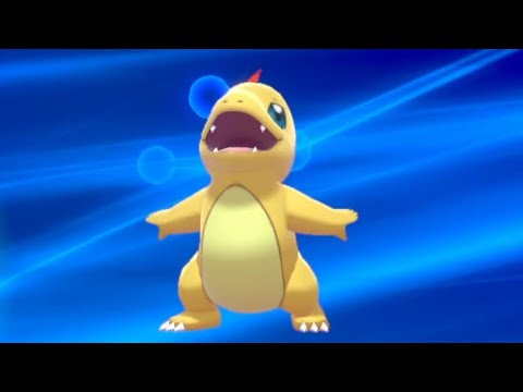 もちまるより可愛いポケモン日記「ヒトカゲ→リザード→リザードン」Pokemonswordshield ShinyPokémon