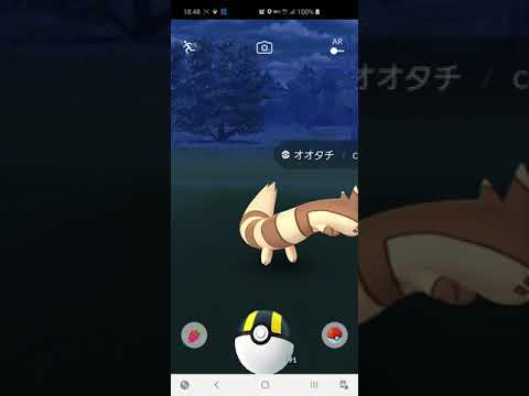 [ポケモンGO] ただただ可愛いオオタチの威嚇