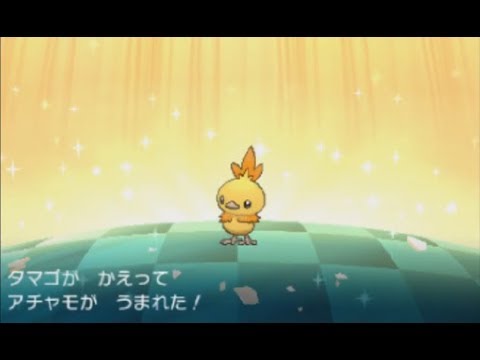 チキンの話してたらアチャモの色違いが産まれた