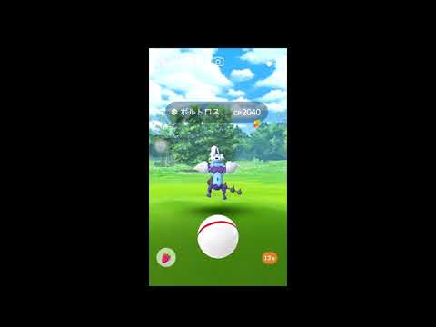 【ポケモンGO】 ボルトロス(霊獣) レイド & ゲットチャレンジ