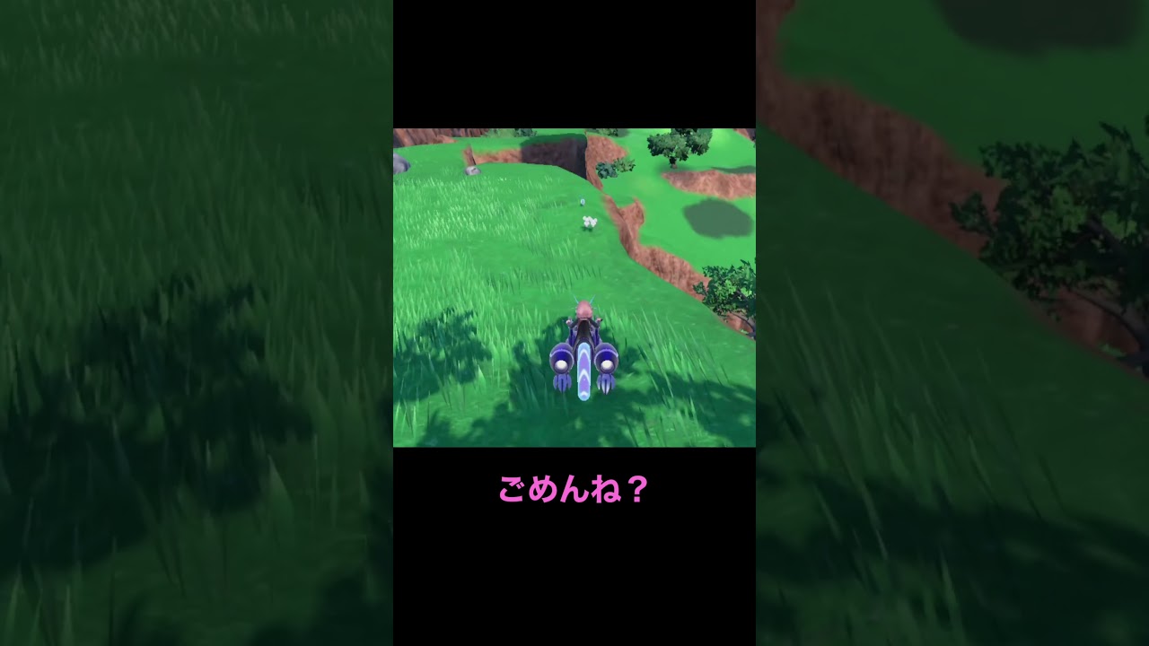 パチリスの追い込み漁はこちら　#ポケモン  #ポケモンsv  #ポケモンバイオレット