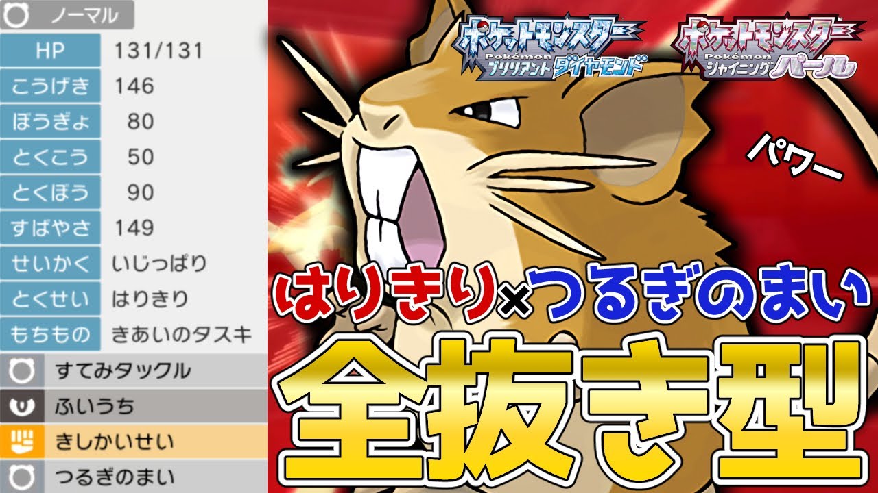 "はりきり×つるぎのまい"パワー系『ラッタ』を使って対戦！【ポケモンBDSP】【コロシアム】【No.33】