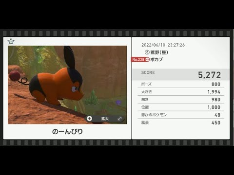 Newポケモンスナップ　★1ポカブ【5272】