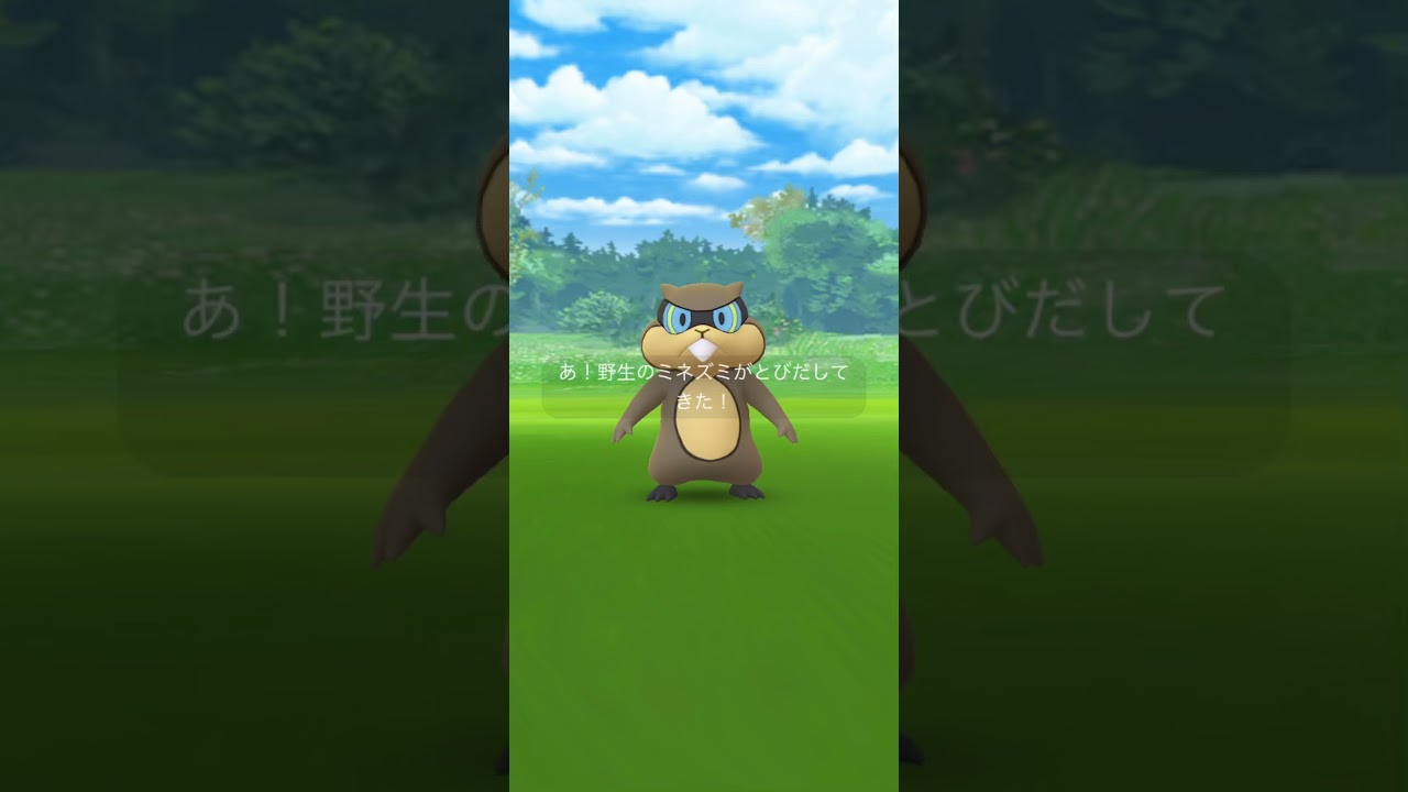 【Pokémon GO】Shiny Patrat GET ✨ ③