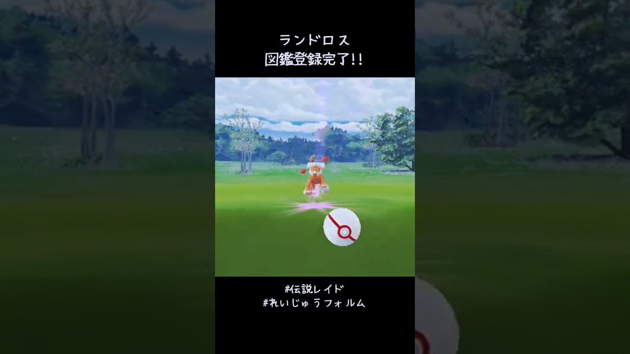トラおじさん図鑑登録完了✍️ 思ったより遠い😅 #ポケモンGO #伝説レイド #ランドロス #れいじゅうフォルム